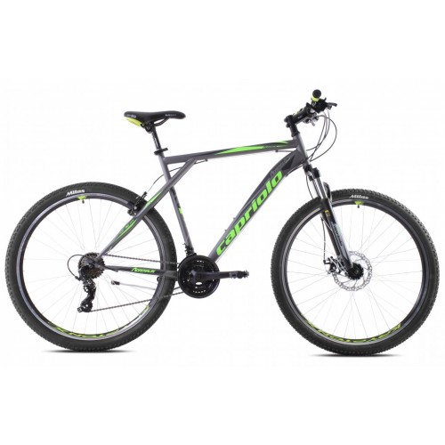 Bicikl Capriolo MTB adrenalin 29''/21HT sivo-zelena 23