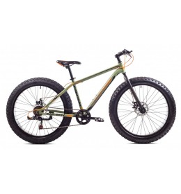 Fat bike Fat boy 26 zeleno-oranž 919201-19