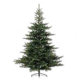 Novogodišnja jelka Grandis fir Everlands 210cm