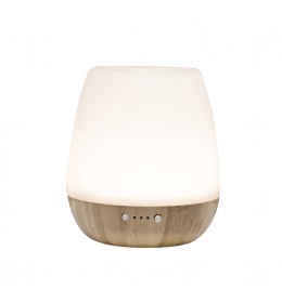 Stona ultrazvučna aroma lampa Home AD20